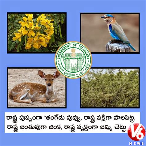 Mee Kosam Ipr Telangana State Emblems And Bird Flower Animal Tree