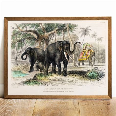 Elephant Safari Print Antique Animal Painting Vintage Etsy Elephant