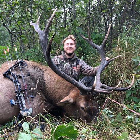 Alberta Elk Hunting