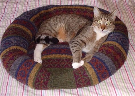 How I Made My Cat A Jumper Bed Tutorial Diy Pet Bed Pet Bed Diy Cat Bed