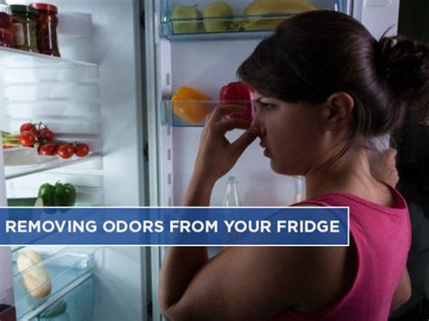 Removing Odors From Your Fridge Cs Appliance Service