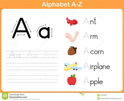 alphabet tracing worksheet stock vector image