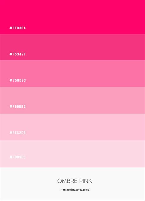 Ombre Pink Colour Scheme Shades Of Pink Gradient Colour Palette