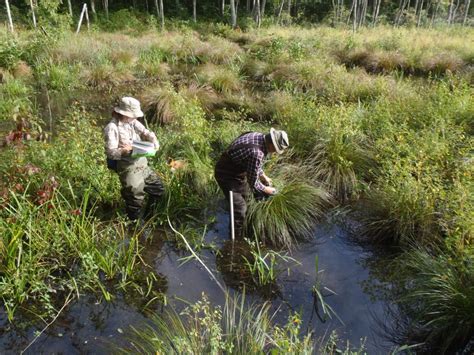 Photos Sampling For The National Aquatic Resource Surveys National