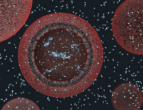 Origin Of Life First Cells May Have Been Glued Together Scientific