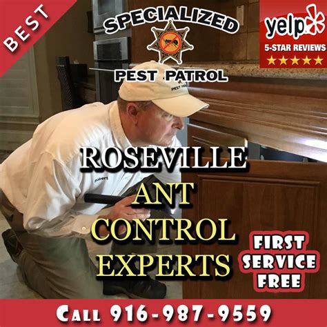 Guaranteed pest control for your monmouth county home. Ant Control Experts Trusted By Roseville's Junction West ...