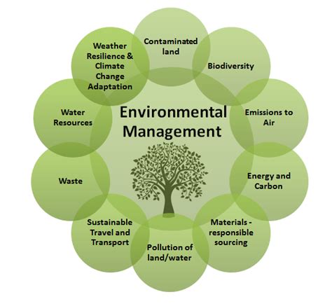Environment, milieu, ambiance, setting, surroundings all refer to what makes up the atmosphere or background against which someone or something is seen. Environment | Safety Central