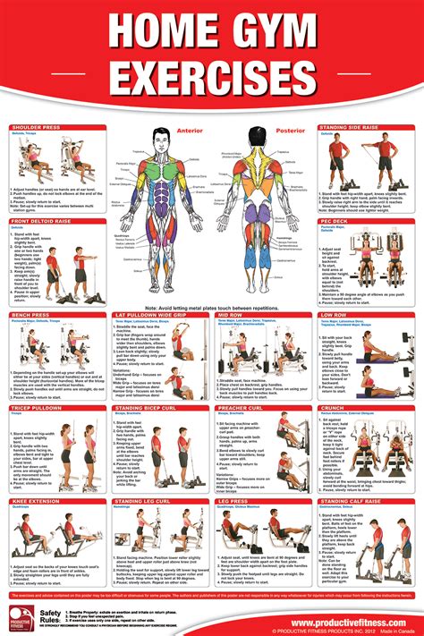 Simply do these exercises according to build your own chest. Home Gym Exercises | Home gym exercises, Gym workout chart ...