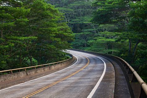 Highway 560 Kauai Hawaii Photos By Ron Niebrugge