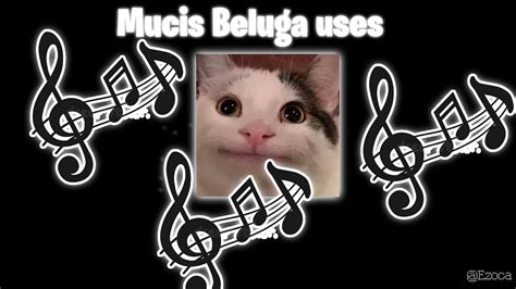 Music Beluga Uses In Hes Video Youtube