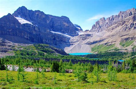5 Winning Day Hikes From Calgary To See The Larches