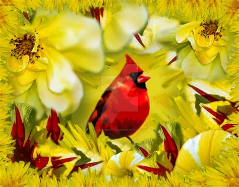Yellow Cardinal By Luckycindy13 On Deviantart
