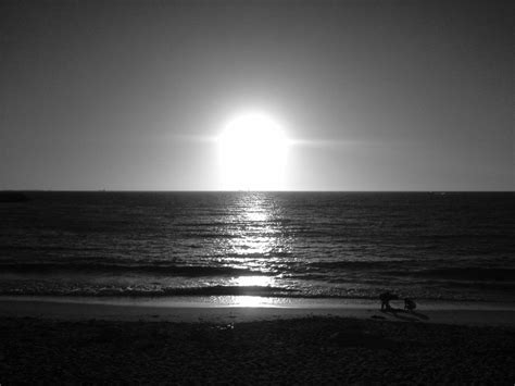 Black And White Beach Prints Black And White Summer Sunset By Glofro