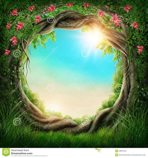 The Enchanted Forest Tree Royalty Free Stock Photo