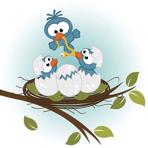 Bird Feeding Chicks Nest Cartoon Illustrations Royalty
