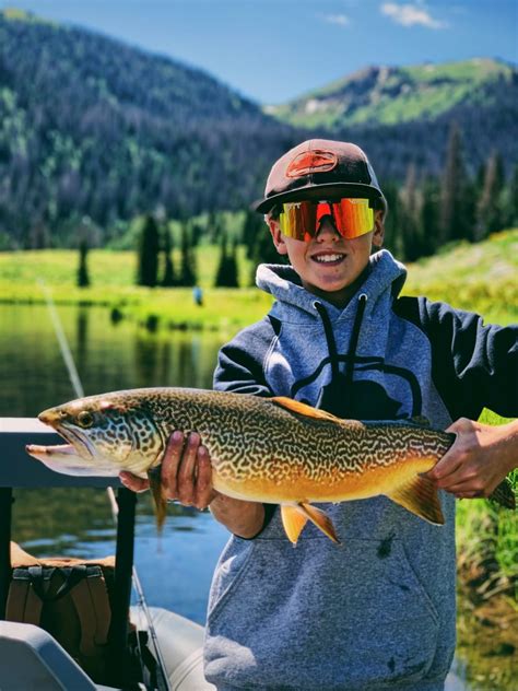 Guided Fly Fishing Trips In Utah Park City Fly Fishing Guides