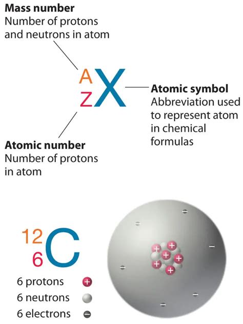 Atomic Mass Number Definition And Characteristics Nuclear