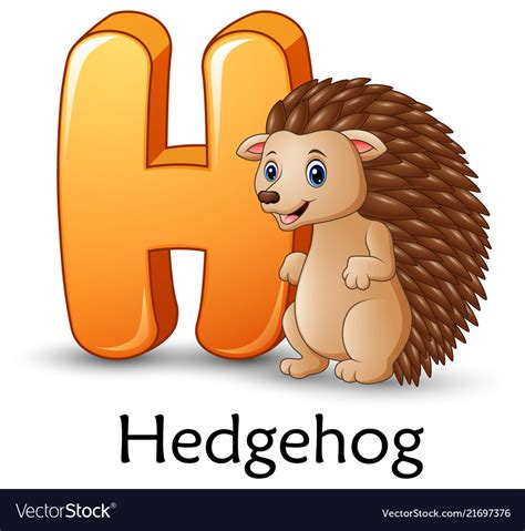 Letter H Is For Hedgehog Cartoon Alphabet Vector Image