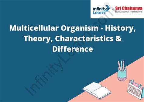 Multicellular Organism History Theory Characteristics And Difference