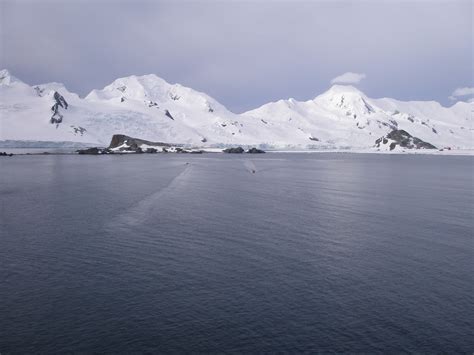 Goin Feral One Day At A Time Half Moon Island Antarctica January 2008