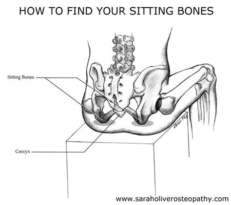 Antimony poisoning has resulted from drinking acidic fruit juices containing antimony. Sit on Your Sitting Bones for Less Back Pain | Sarah ...