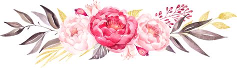 Peonies Watercolor Clipart Pink Flower Clipart Peonies Etsy Kulturaupice