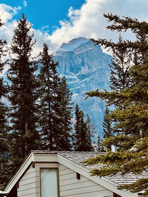 View Our Photo Gallery Moraine Lake Lodge In Banff