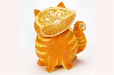 Tabby Cat Made Out Of Oranges Cute Food Food Art Orange Cat
