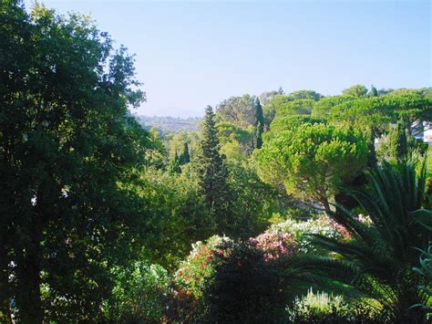 Typical Landscape Of Provence Stock Image Image Of Foliage France