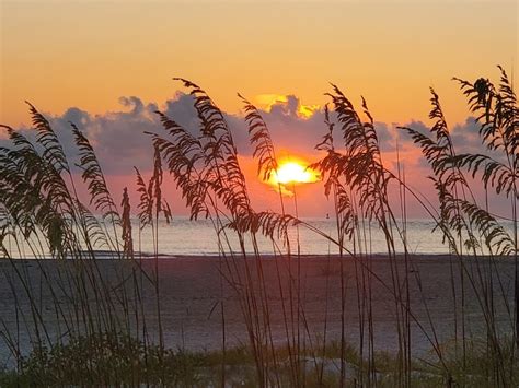 Top 5 Reasons To Visit Tybee Island In The Fall Local Happenings