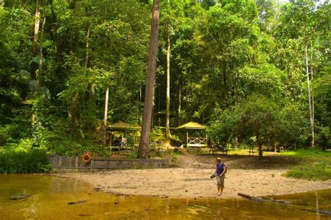 Lambir hills national park contains one of the world's most complex and diverse forest ecosystems. Lambir Hills National Park - How We Got Lost in the Jungle