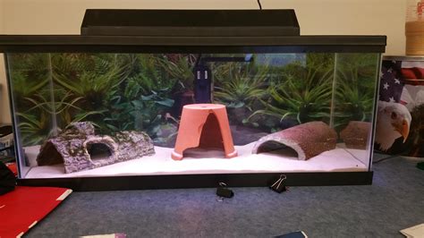 10 Gallon Axolotl Tank