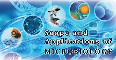 Scope And Applications Of Microbiology In 2024