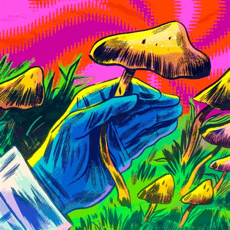 Exploring The Spiritual Realm With Magic Mushrooms U Can Grow Mushrooms