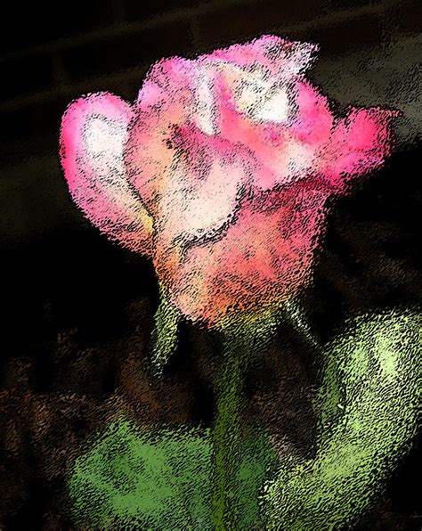 Faint Dreams Of A Pink Rose Photograph By Mary Sedivy Fine Art America