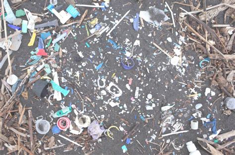 Increase In Plastics Reaching Remote South Atlantic Islands British