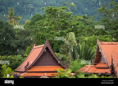 Lush Green Vegetation And Traditional Constructions In Thailand Stock