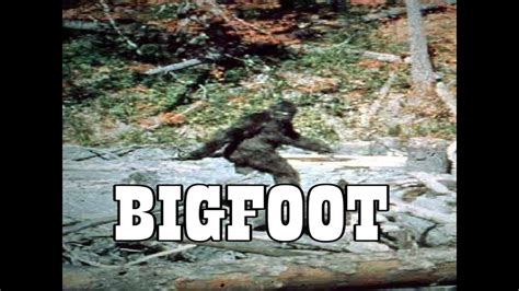 Real Life Myths And Legends The Patterson Gimlin Film