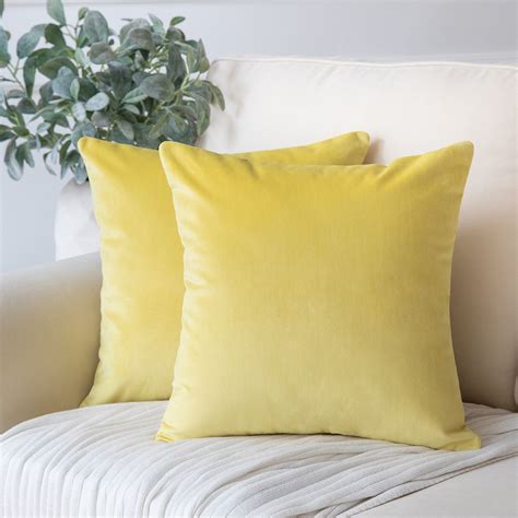 Phantoscope Soft Silky Velvet Series Decorative Throw Pillow 20” X 20