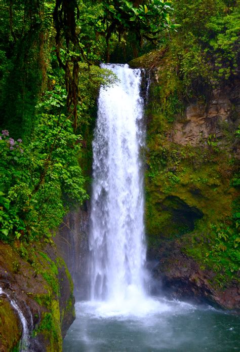 Rainforest Waterfall Of Naturalness Waterfall Beautiful Nature