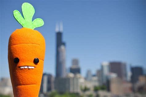 The Amazing Adventures Of Mr Carrot Amazing Adventures Carrots