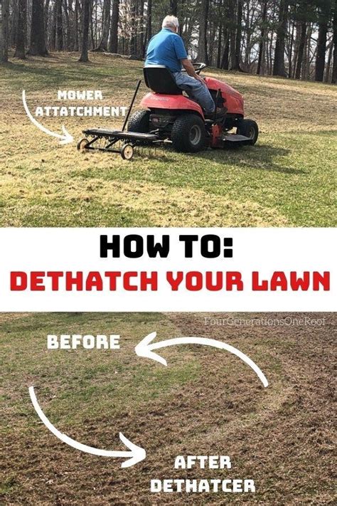 The dense mass of grass clippings, roots, and stems blocks the flow of. Dad's lawn dethatcher tips and tricks {Best Lawn Series 1} | Lawn care tips, Outdoor topiary ...