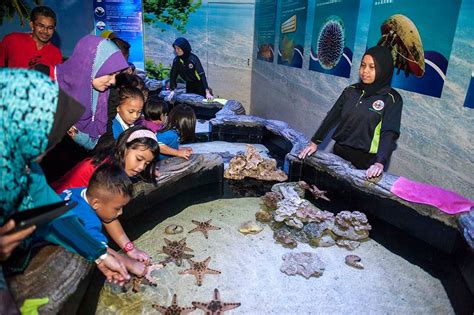 Oceanarium merupakan wahana yang spesifik dengan tema dua udang di oceanarium. Berinteraksi Dengan Hidupan Laut Di The Shore Oceanarium ...