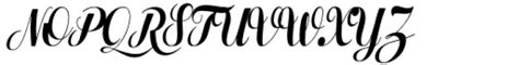 Lilith Script Pro Narrow Medium Font What Font Is