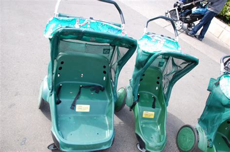 7 Tips to Maximize Your Trip To The San Diego Zoo | Baby Gizmo