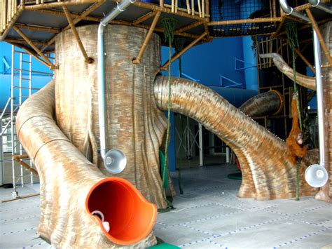 Tree Playground With Trunk Slides