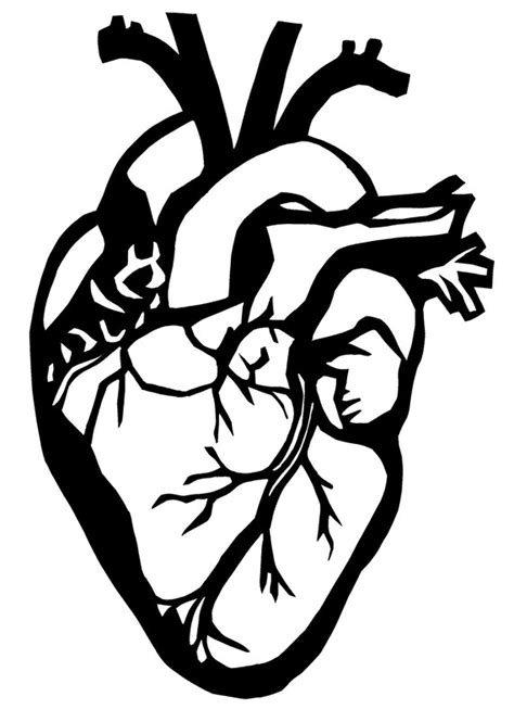 Items Similar To Original Paper Cutting Anatomical Heart 2 8 X 10