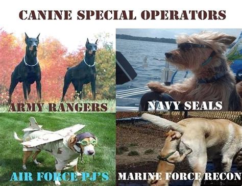 11 Military Dog Memes That Are Flat Out Funny Af We Are The Mighty