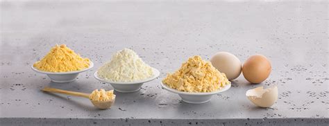 Ovovita Dried Egg Products