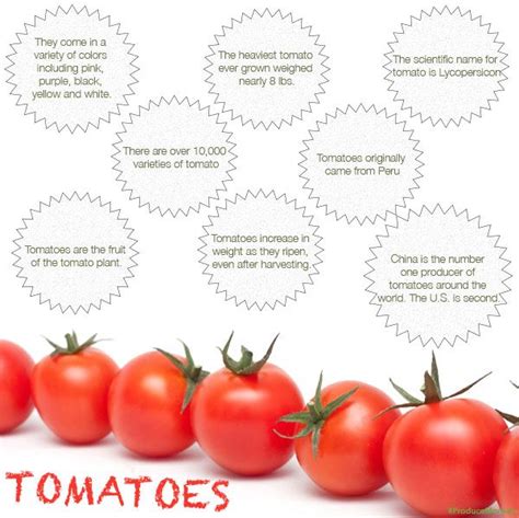 Fun Facts Tomatoes Producemonkey Varieties Of Tomatoes Tomato Fun